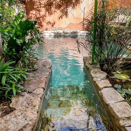 La Selva By Majikal B&B Мерида Экстерьер фото